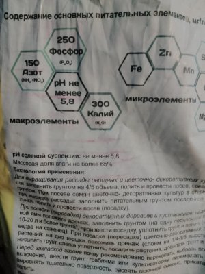 IMG_20250319_184628.jpg