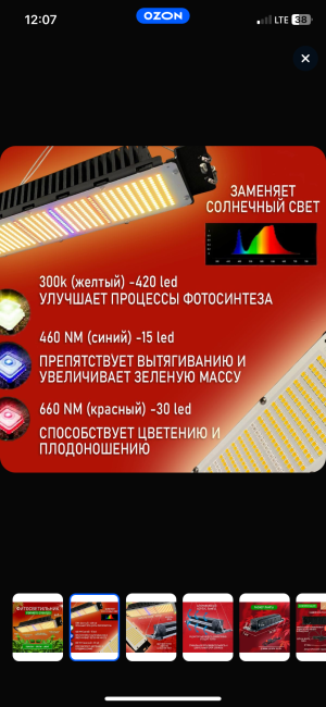 IMG_4063.png