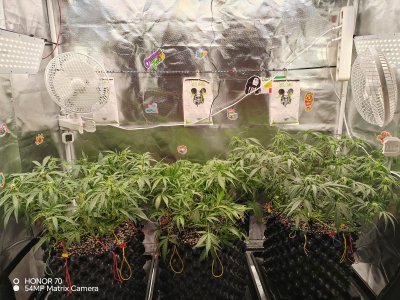 IMG_20250622_012313.jpg
