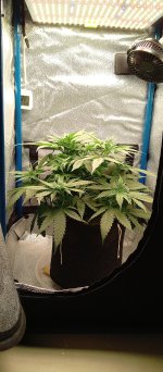1756271837079.jpg