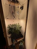 IMG_1046.jpeg