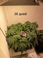 IMG_0655.jpeg