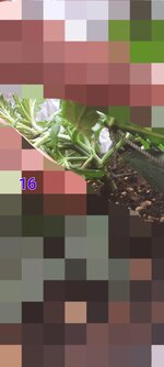 20251104_164303.jpg