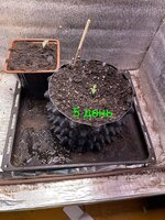 IMG_1763.jpeg