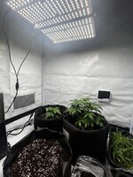 01.03.2026.jpg