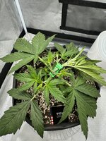 IMG_3154.JPG