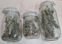 IMG_1174.jpeg