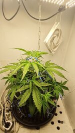 IMG_1222.jpeg