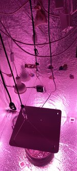 20260327_182626.jpg
