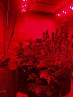 04.04.2026&.jpg