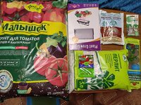 IMG_20260426_222658.jpg