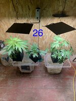 IMG_4726.jpeg