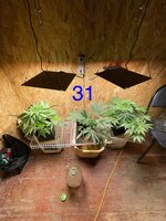 IMG_4752.jpeg