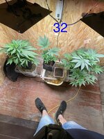 IMG_4761.jpeg