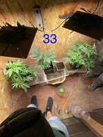 IMG_4767.jpeg