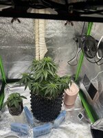 IMG_6255.jpeg