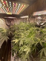 IMG_5026.jpeg