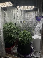 IMG_3309.jpeg