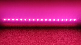 IMG_20260820_132035.jpg