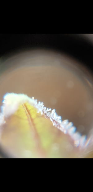 S30701-021100.png