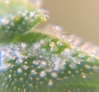 1695975303988.png